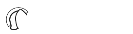 Design Professionalism logo